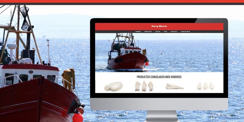 Nuestra-nueva-web-Torry-harris-800×490