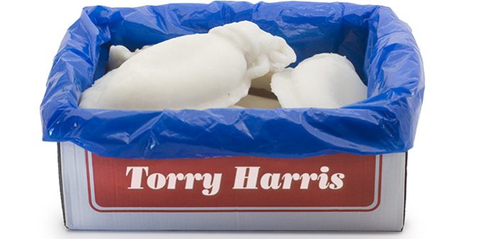 Sepia congelada Sepia limpia IQF caja