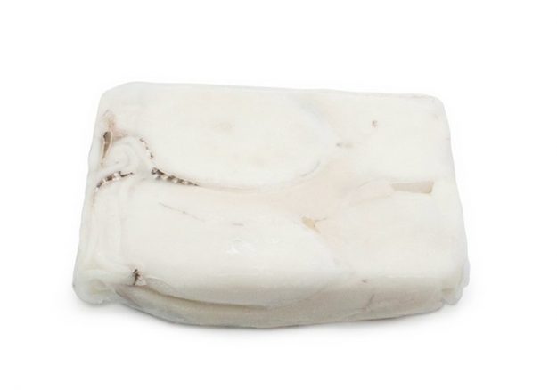 Sepia limpia en bloque