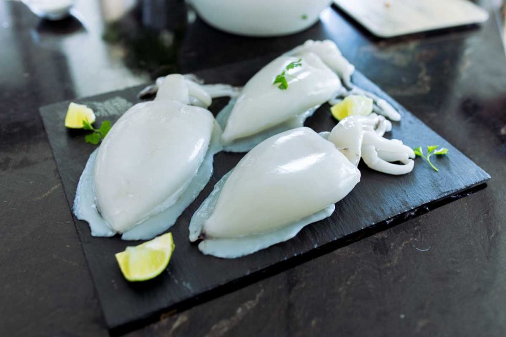 Sepia cruda Torry Harris