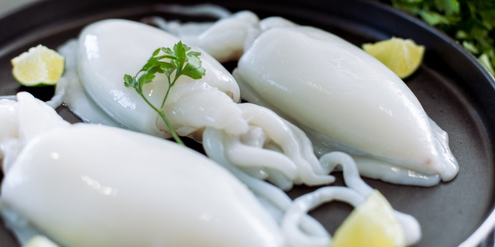 Sepia congelada calibrada Torry Harris