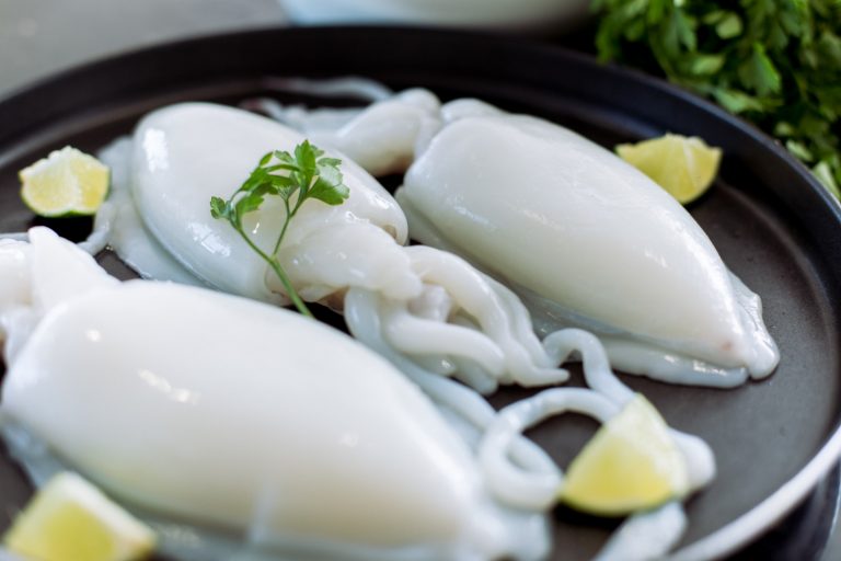 Sepia congelada calibrada Torry Harris