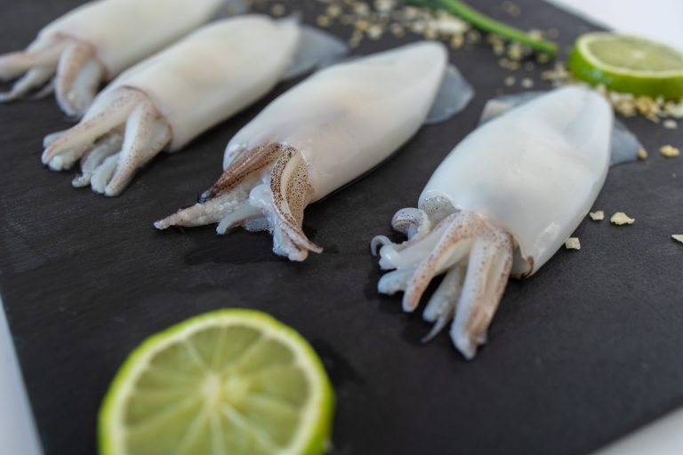 Calamares limpios Torry Harris