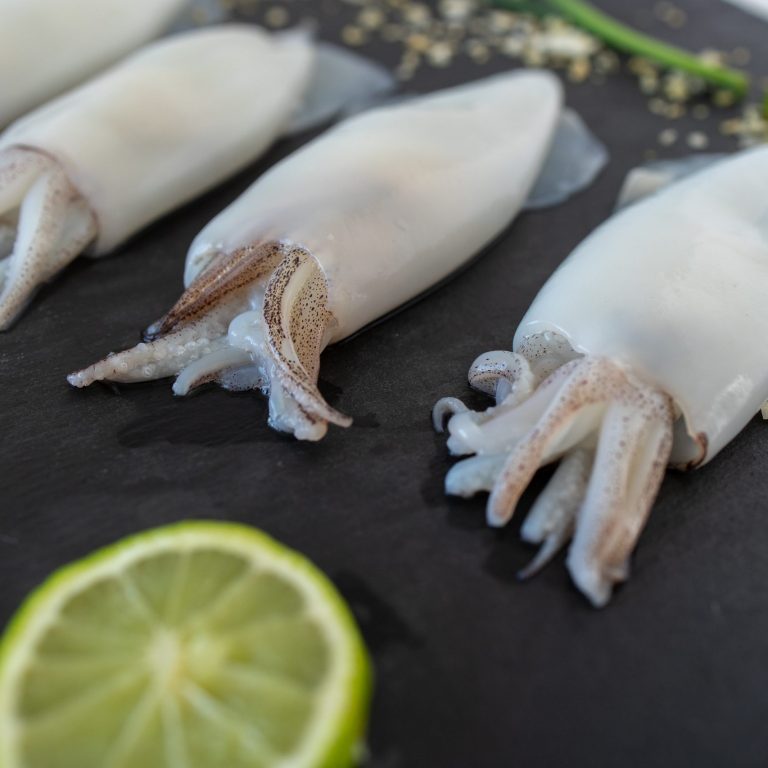 Calamares limpios Torry Harris