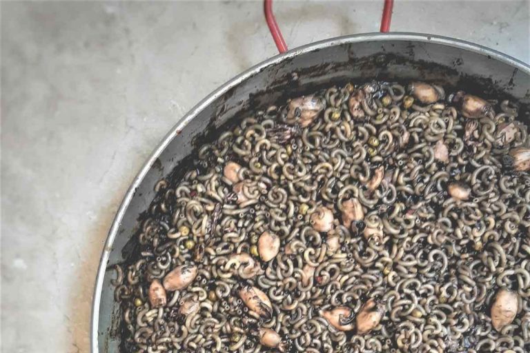 Fideuá de puntillas en su tinta con guisantes